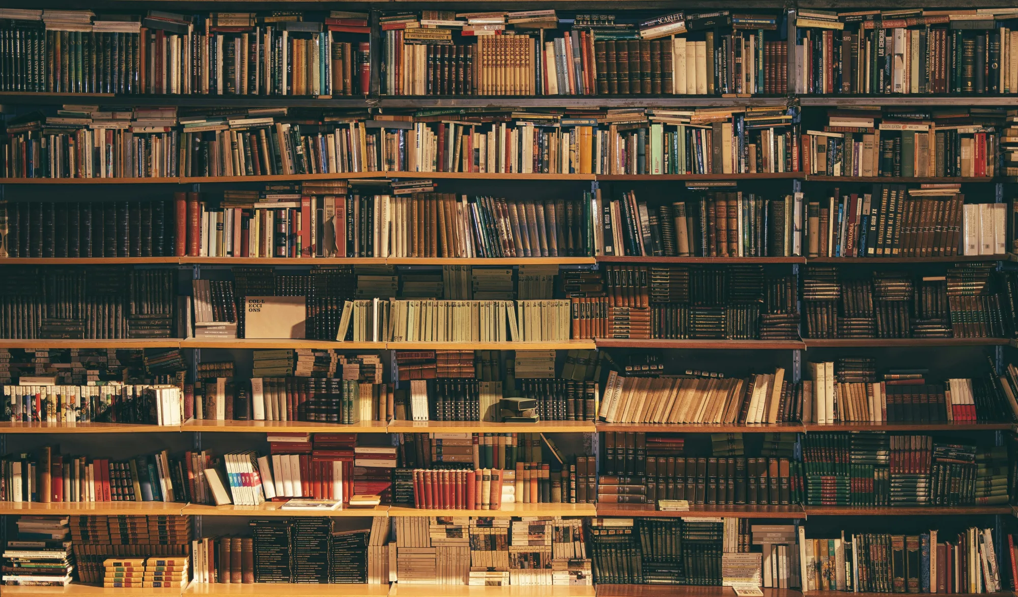 Mark Twain Turned American Speech into Literature